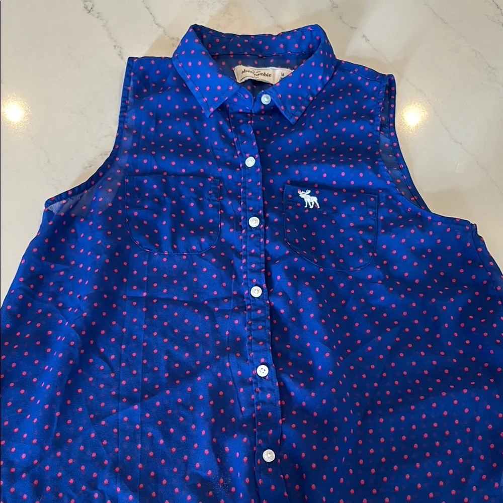 Abercrombie Kids Blue Button Down Shirt with Red Accents